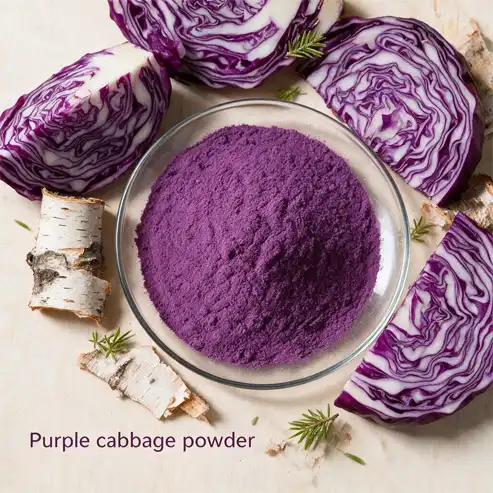 Purple cabbage powder Bulk Supply with Custom Packaging Solutions